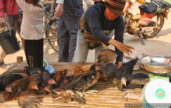 cambodia market