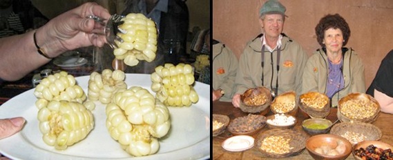 Big corn in Peru 