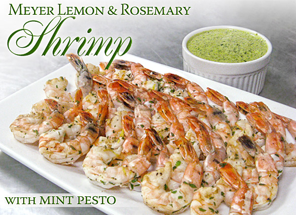 Meyer Lemon Rosemary Shrimp | She Paused 4 Thought