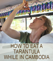 cambodia Photography by Cathy Nelson Arkle