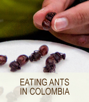 Colombia | She Paused 4 Thought