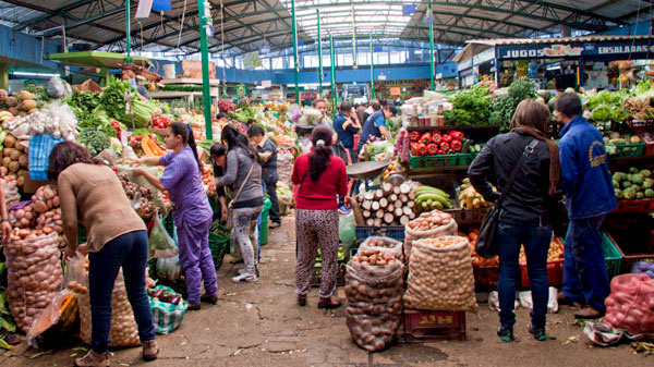 farmers-market-in-bogota