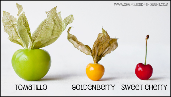 comparison Tomatillo Goldenberry Sweet Cherry