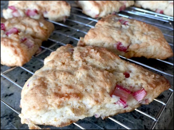 Rhubarb Scones | She Paused 4 Thought
