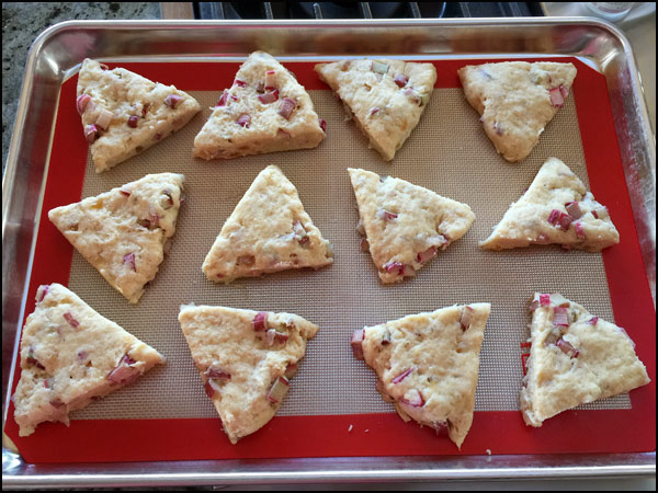 Rhubarb Scones | She Paused 4 Thought
