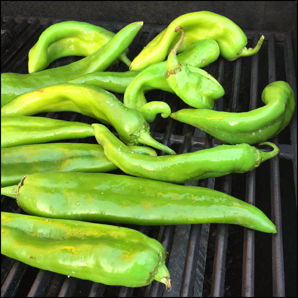 hatch chiles on grill | She Paused 4 Thought
