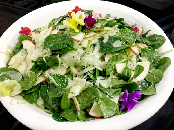 Spinach, Apple and Fennel Salad | She Paused 4 Thought