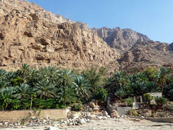 Oman landscape