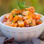 Spicy Persimmon Salsa | She Paused 4 Thought